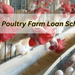 2025 Poultry Farm Loan Scheme, Check Loan Benefits Here & Eligibility Details